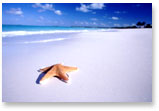 Vacation rentals - Negril Jamaica and the Hamptons located in New york on Long Island!